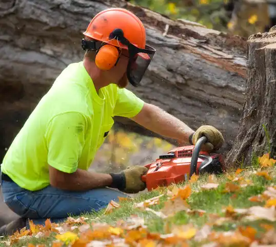 tree services Crane